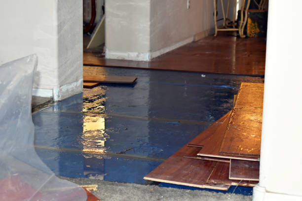Professional Basement Flood Cleanup technician working in Medford, WI